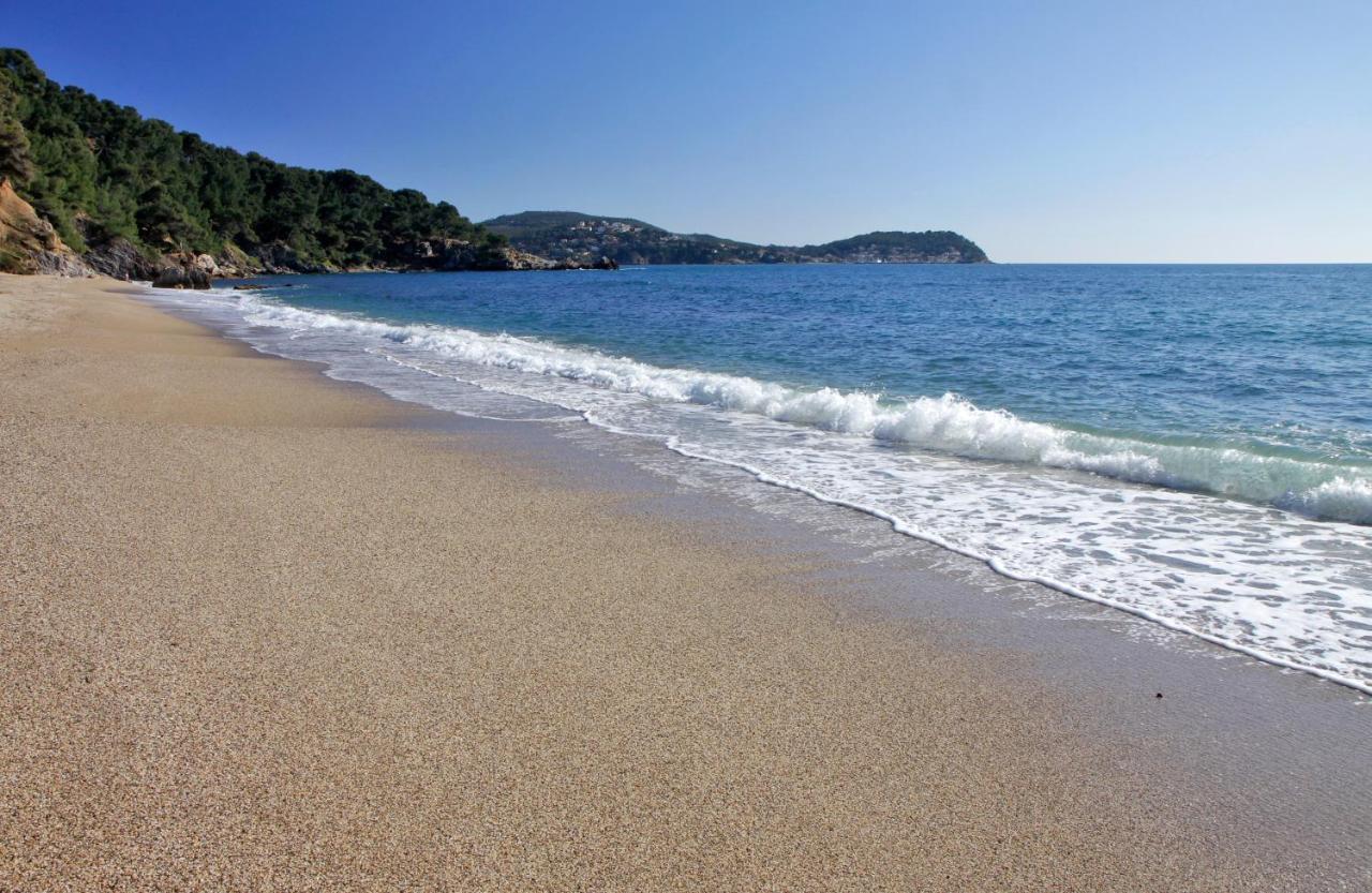 Magnifique Petit Cocon Bord De Mer Le Pradet Exterior foto